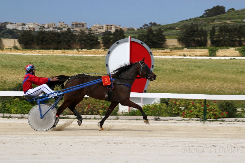 2015_Race 3 - 09.JPG